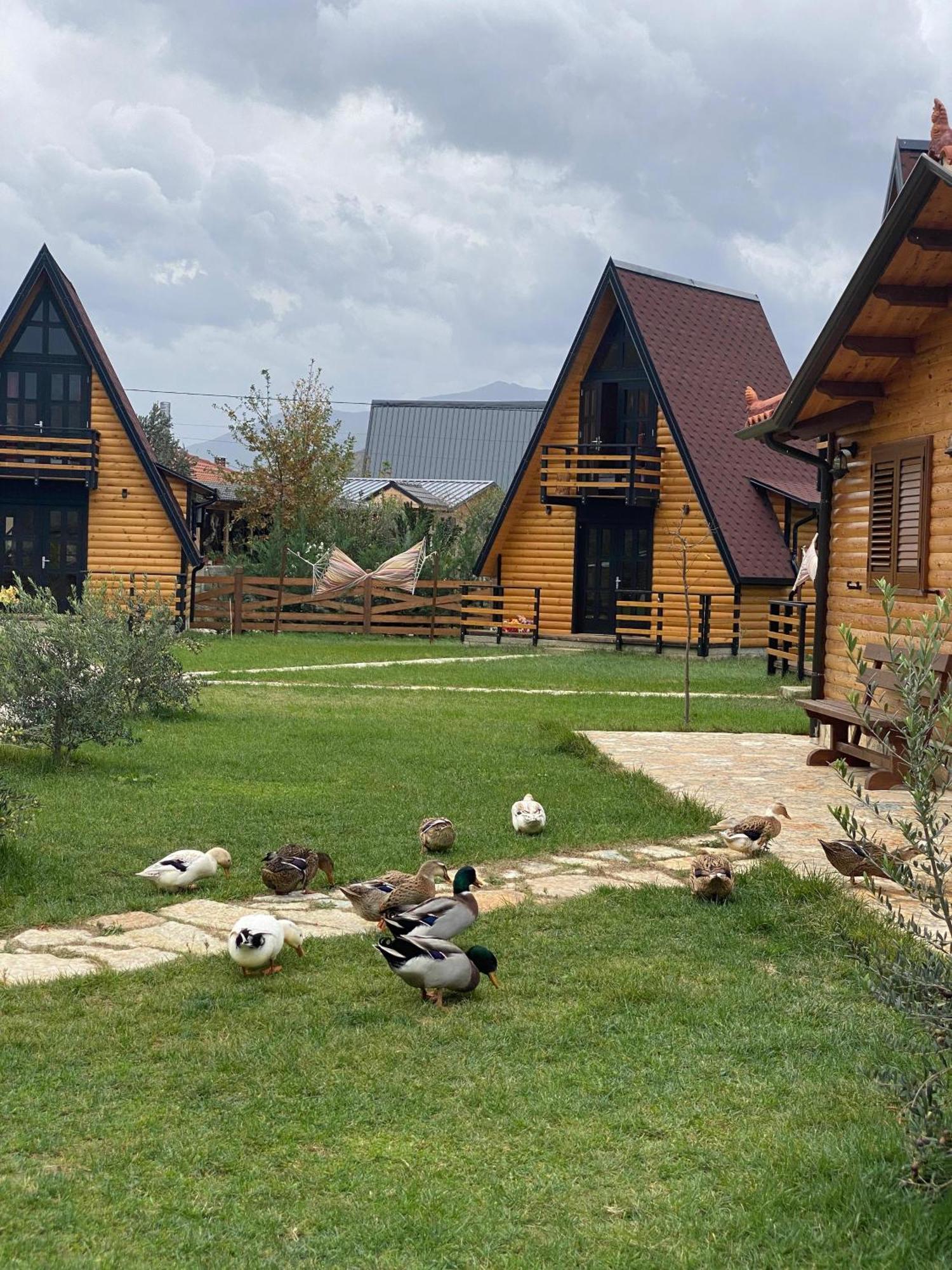 Villa Sancho Farm Albania Memaliaj Exterior foto
