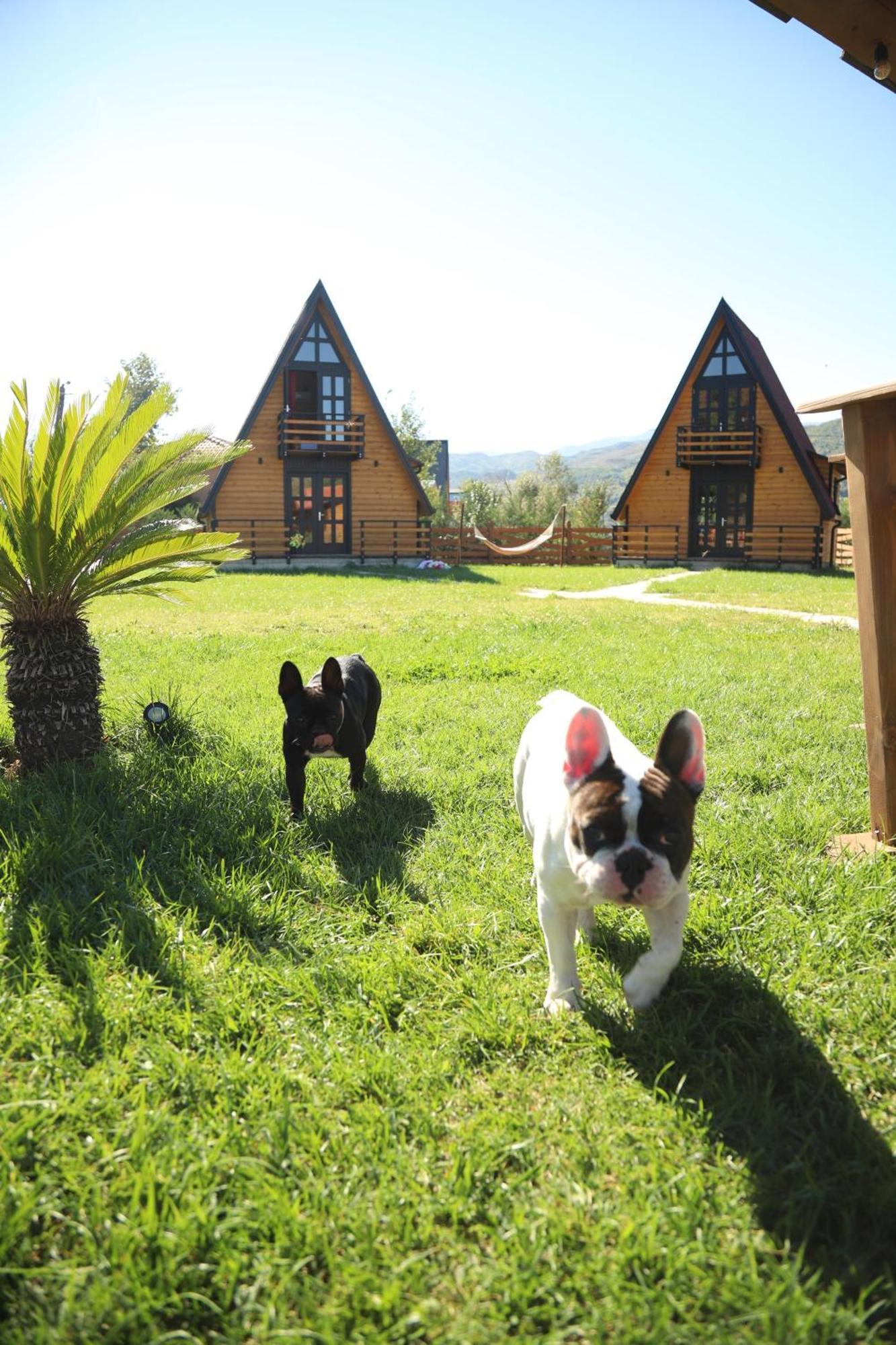 Villa Sancho Farm Albania Memaliaj Exterior foto